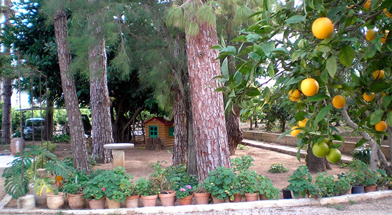 El Sequer Casa Rural Oliva Exterior foto